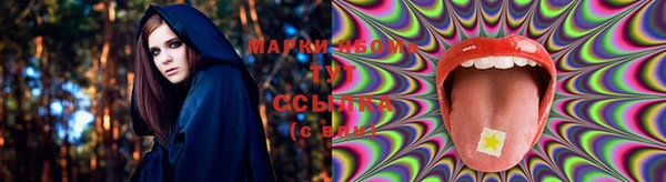 стаф Бугульма