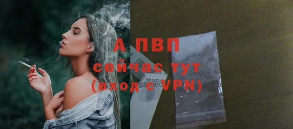 спиды Бронницы