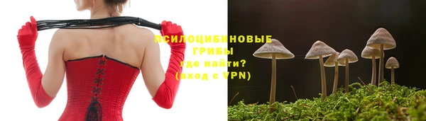 стаф Бугульма