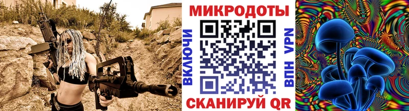 Купить где  Суоярви  Псилоцибиновые грибы Cubensis 